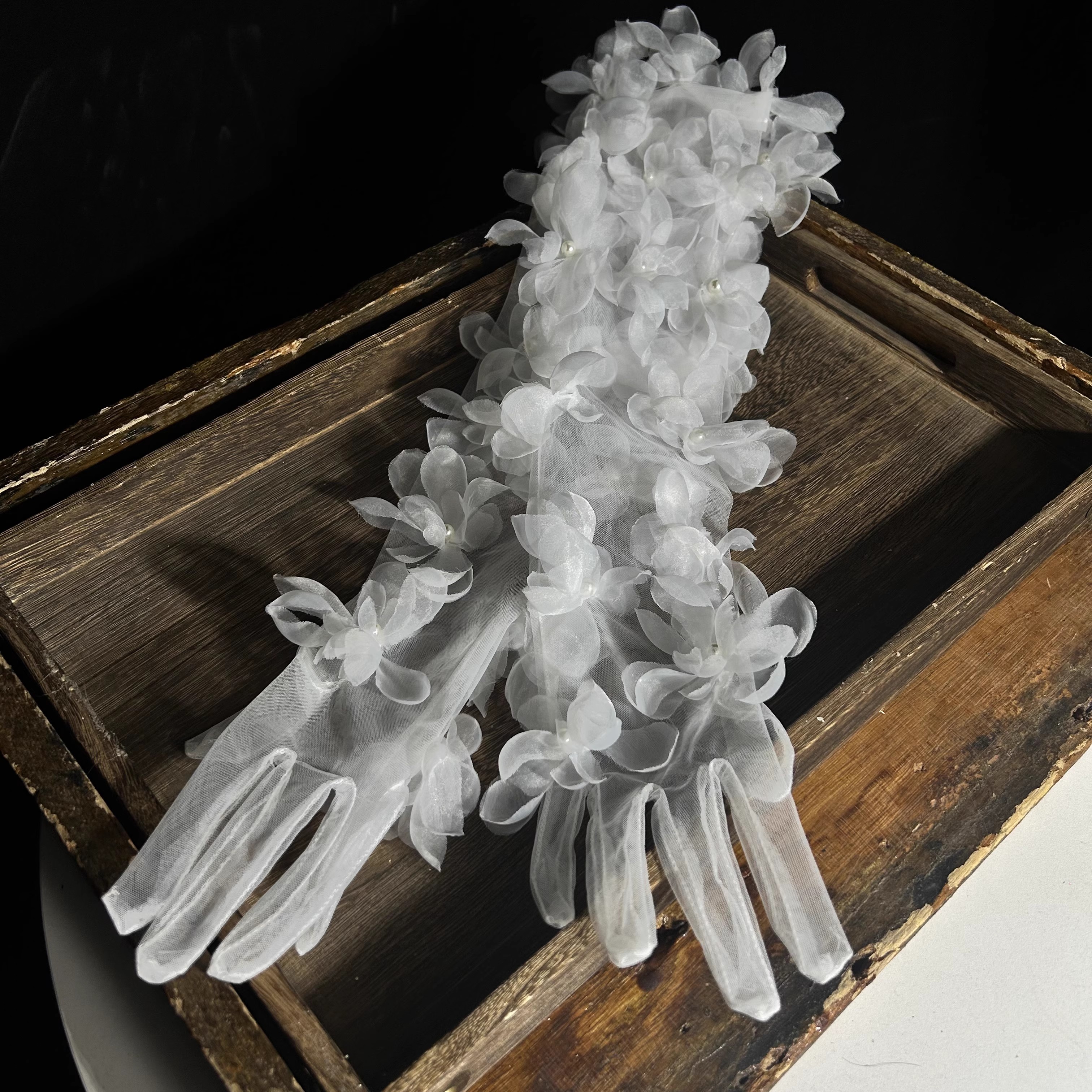 Long Flower Mesh Glove Women's - Vintage Fashion Photographers recension och pris